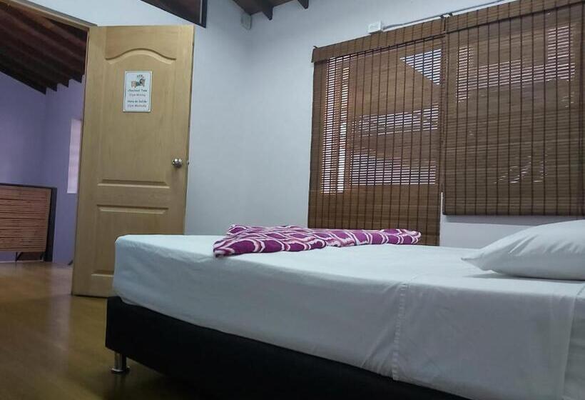 Purple Monkey Hostel