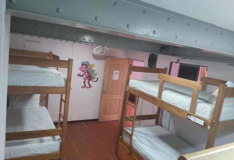 Purple Monkey Hostel