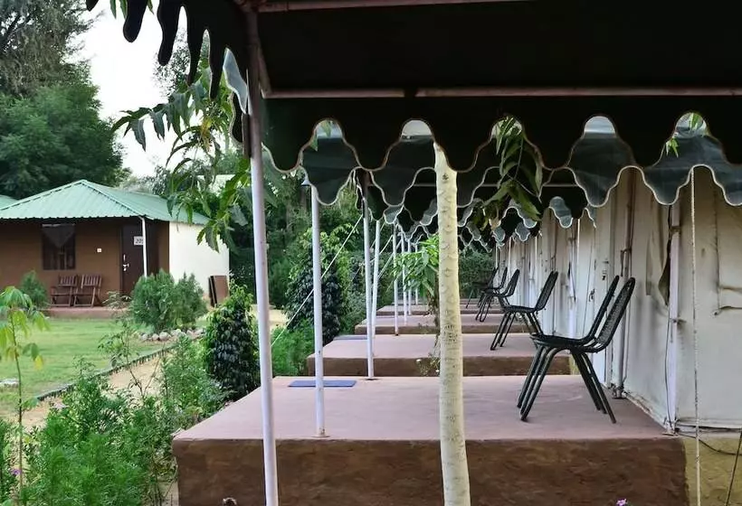 The Narayan Resort