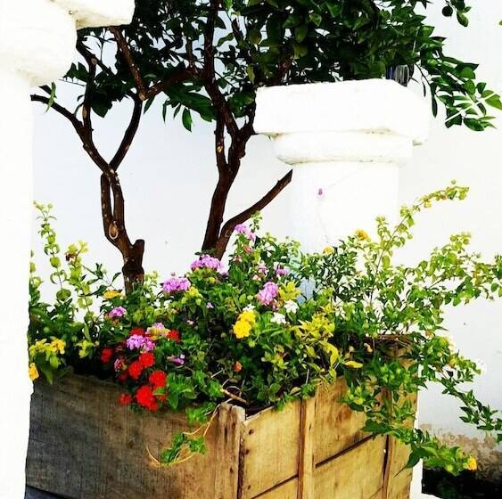 B&b Residenza Celeste