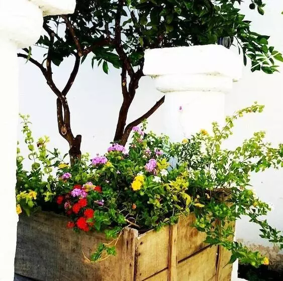 B&b Residenza Celeste