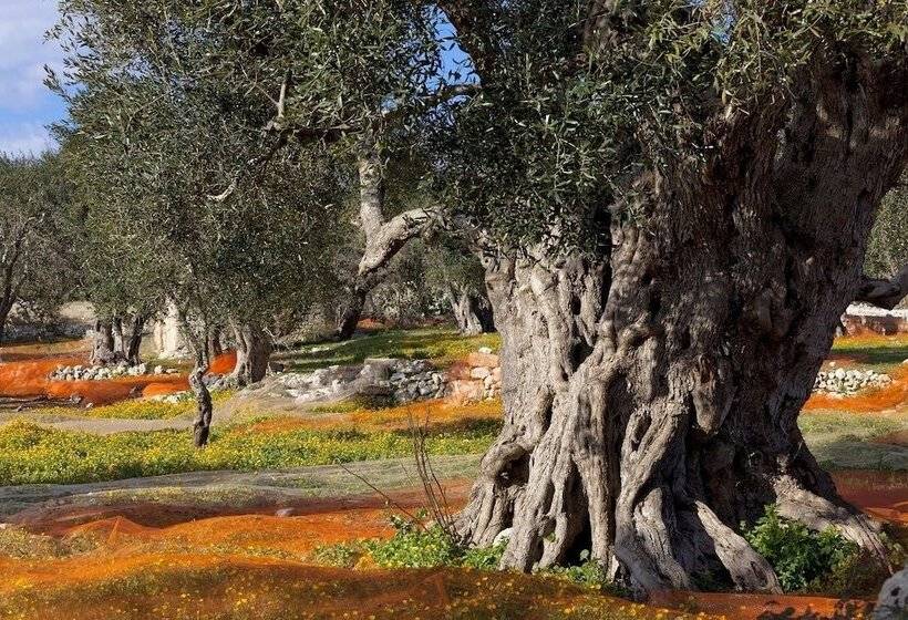 B&b Residenza Celeste