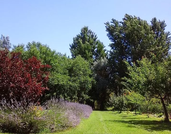 Aamiaismajoitus (B&B) Cà Morari