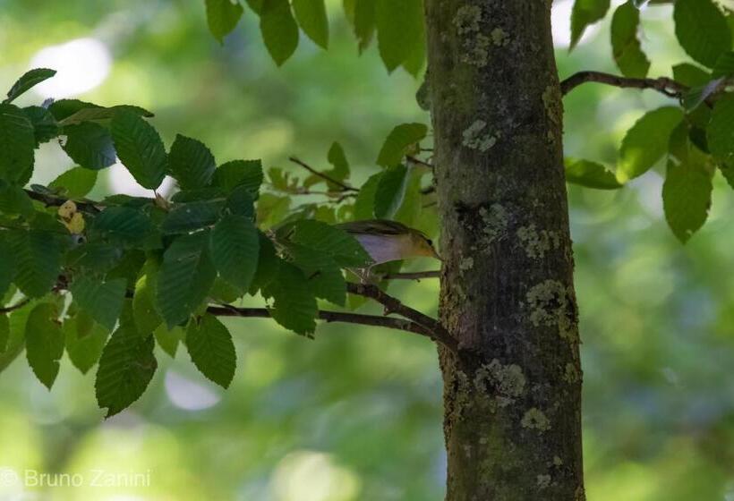 住宿加早餐 Cà Morari
