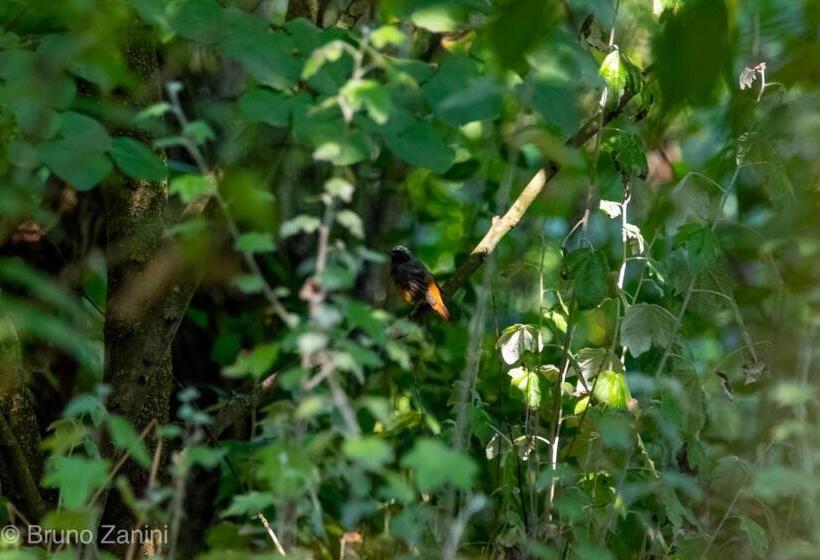 住宿加早餐 Cà Morari