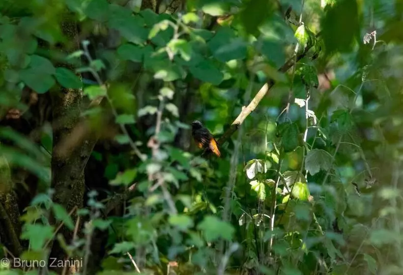 Aamiaismajoitus (B&B) Cà Morari