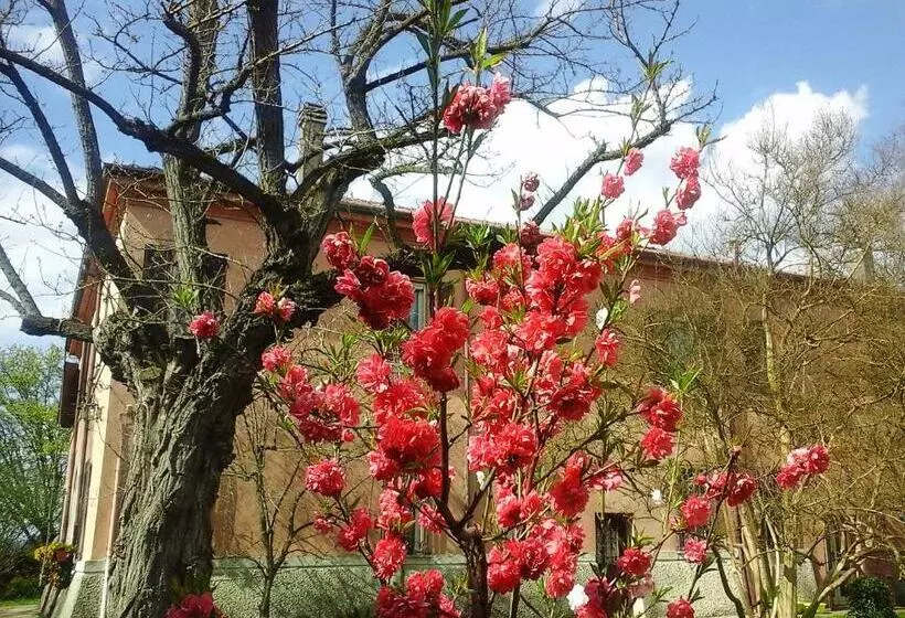 Aamiaismajoitus (B&B) Cà Morari