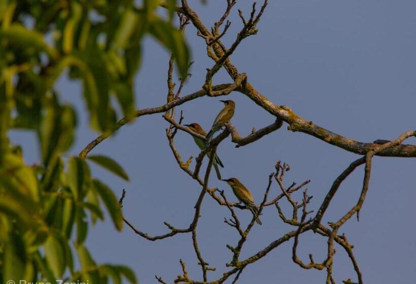 住宿加早餐 Cà Morari