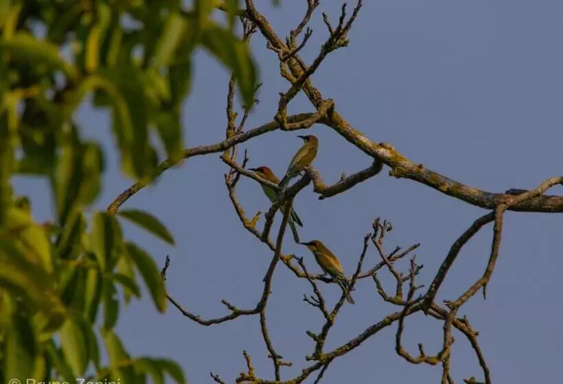 Aamiaismajoitus (B&B) Cà Morari
