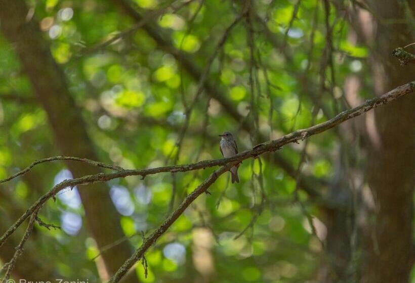 住宿加早餐 Cà Morari