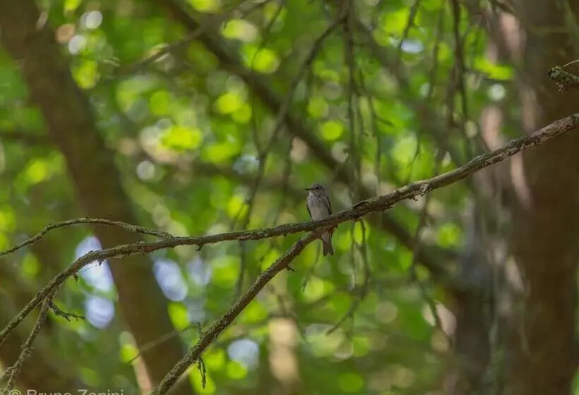 Aamiaismajoitus (B&B) Cà Morari