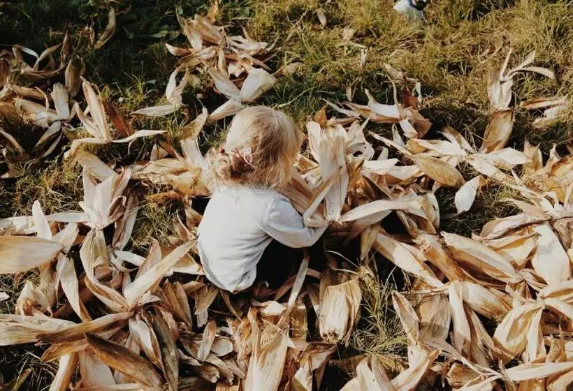 Aamiaismajoitus (B&B) Tenuta Agriturismo La Borina