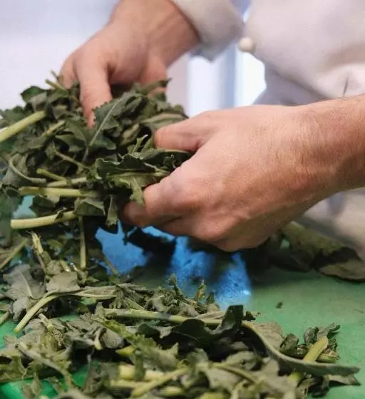 Aamiaismajoitus (B&B) Tenuta Agriturismo La Borina