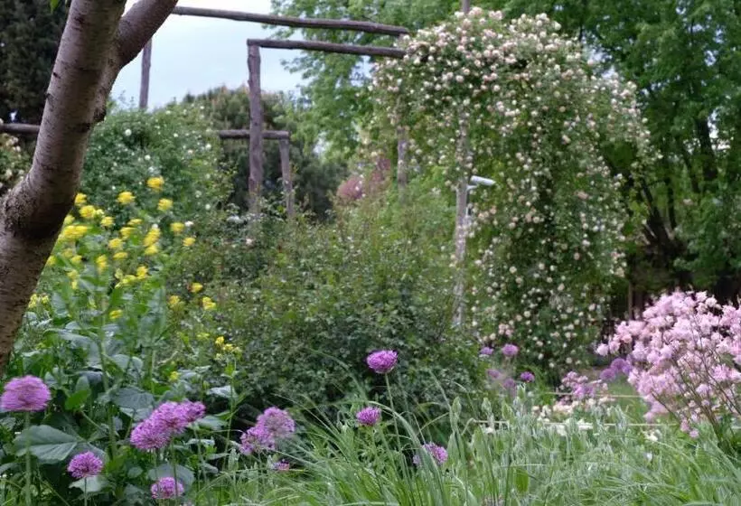 Aamiaismajoitus (B&B) Tenuta Agriturismo La Borina