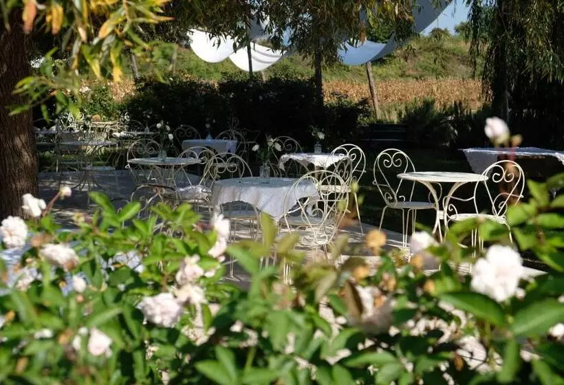 Aamiaismajoitus (B&B) Tenuta Agriturismo La Borina