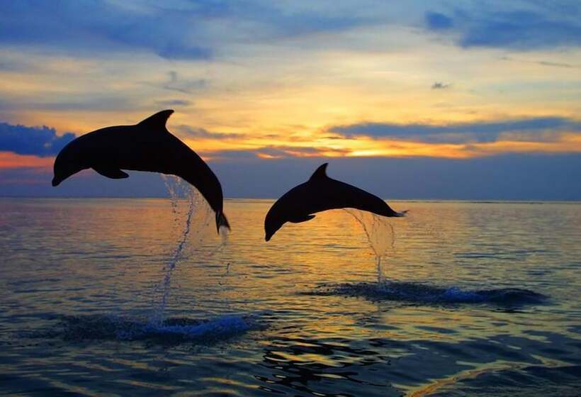 בית מלון כפרי Bolivar