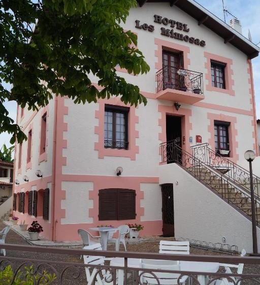 هتل Hôtel Les Mimosas