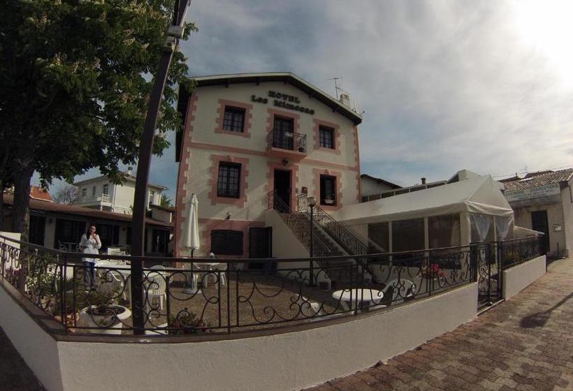 هتل Hôtel Les Mimosas
