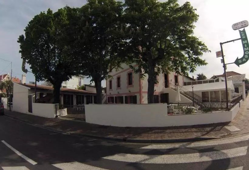 هتل Hôtel Les Mimosas