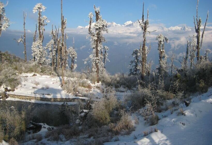 Hotel Juniper Residency