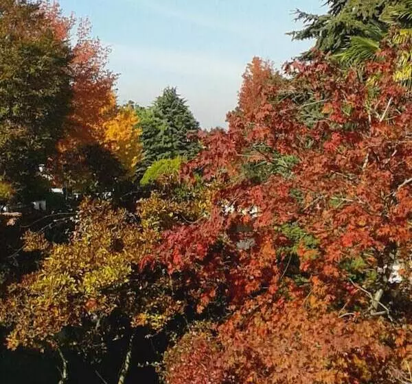 La Rocchetta B&b