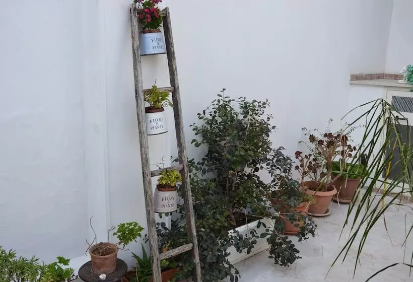 Aamiaismajoitus (B&B) A Casa Di Mich Il Salento Lu Sule Lu Mare Lu Ientu