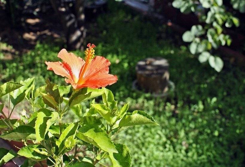 민박 Le Chiocciole