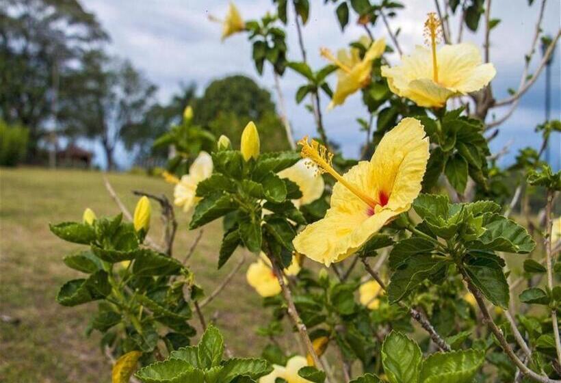هتل Arrayanes Del Quindío