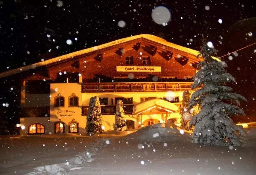 Panorama Hotel Winklerhof