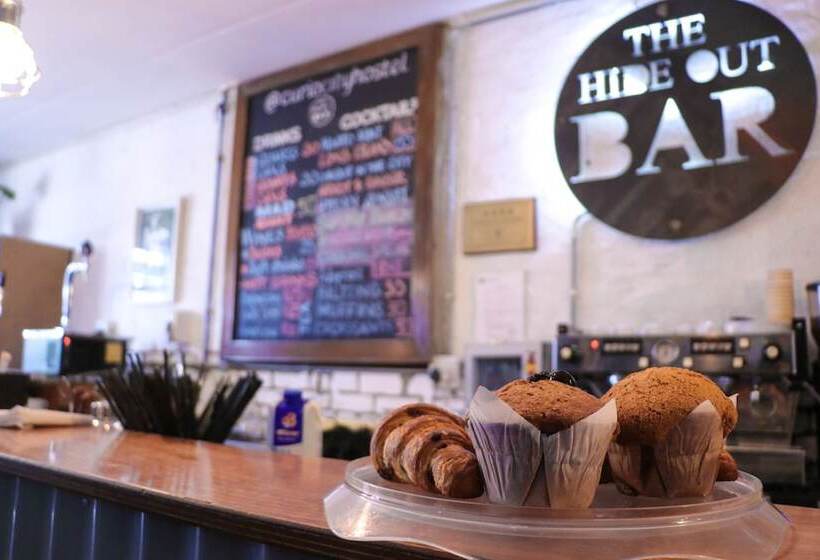 호스텔 Curiocity Backpackers Johannesburg