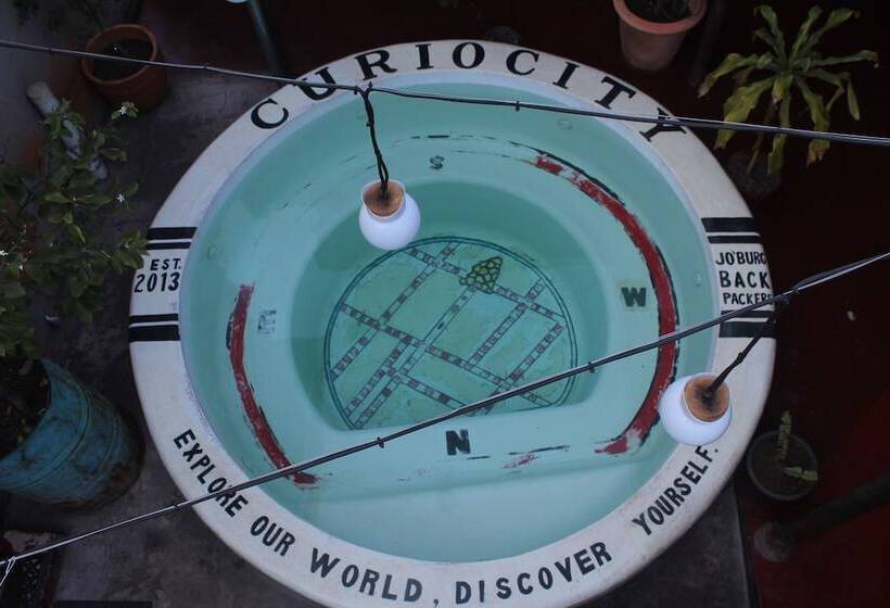 호스텔 Curiocity Backpackers Johannesburg