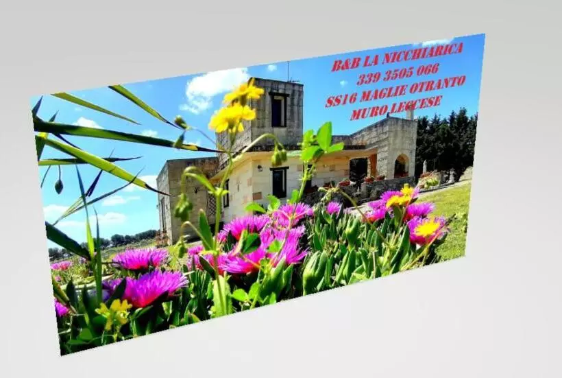 B&b La Nicchiarica