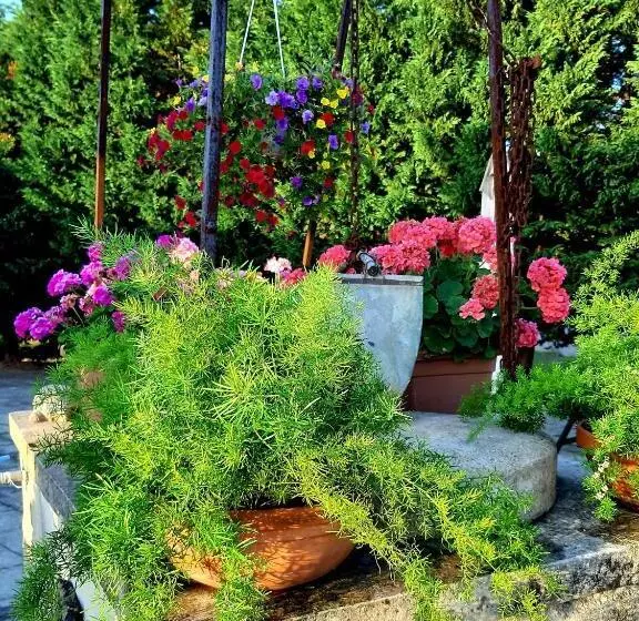 B&b La Nicchiarica