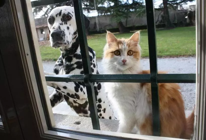 B&b Villa Cardellini