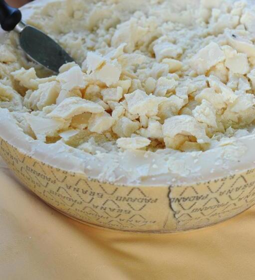 Bed and Breakfast Il Grifo