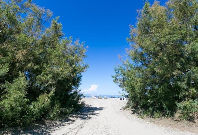 ベッドアンドブレックファースト La Bitta