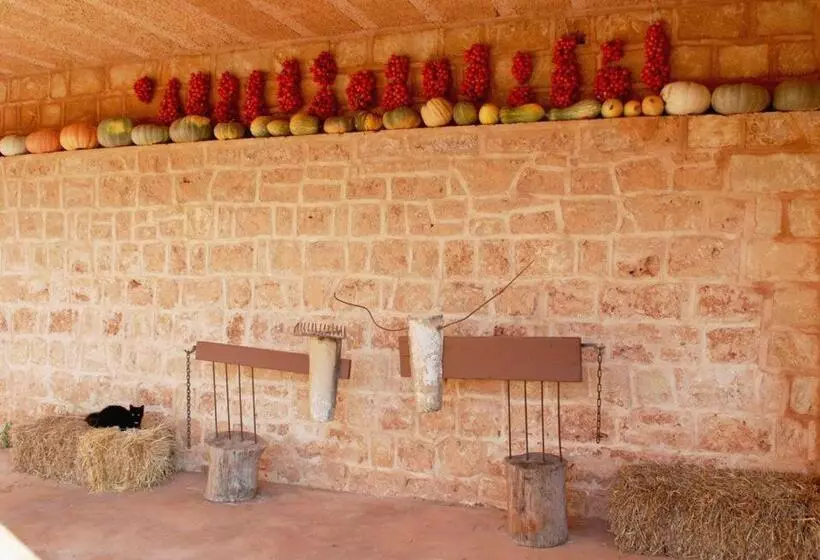 ベッドアンドブレックファースト Masseria Galatea Agriturismo