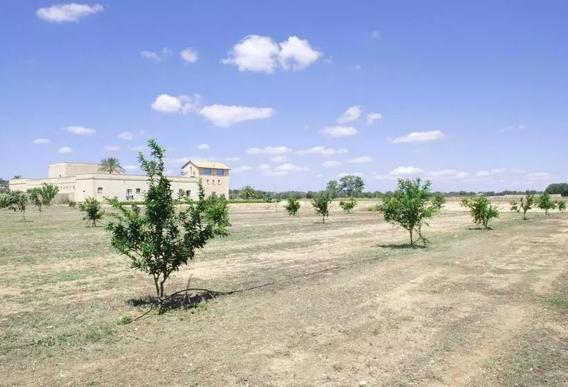 ベッドアンドブレックファースト Masseria Galatea Agriturismo