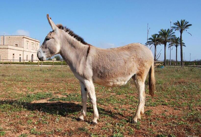 צימר Masseria Galatea Agriturismo
