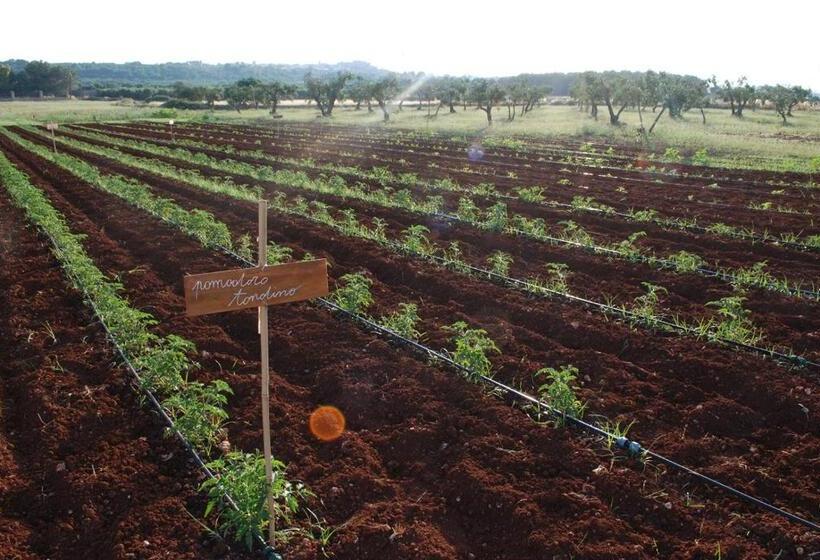 צימר Masseria Galatea Agriturismo