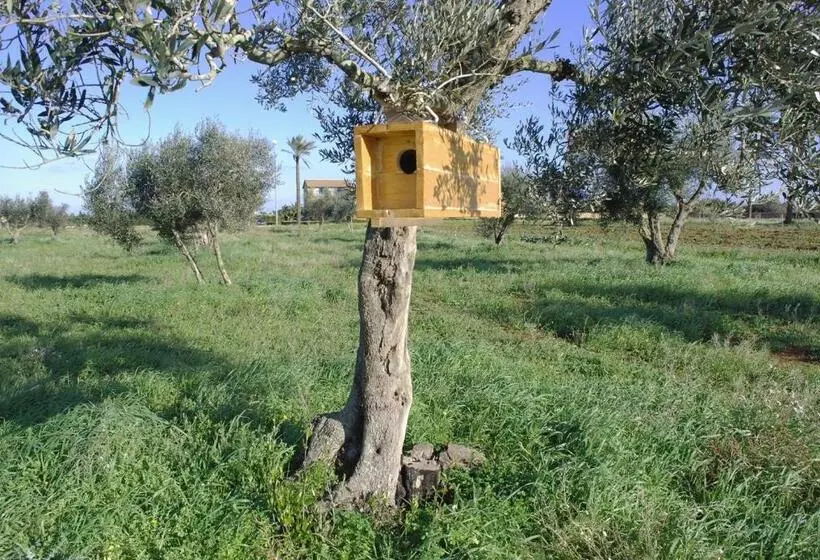 ベッドアンドブレックファースト Masseria Galatea Agriturismo