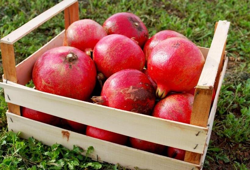 צימר Masseria Galatea Agriturismo