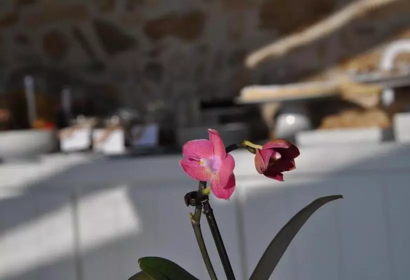 Bed and Breakfast Residenza Amblingh