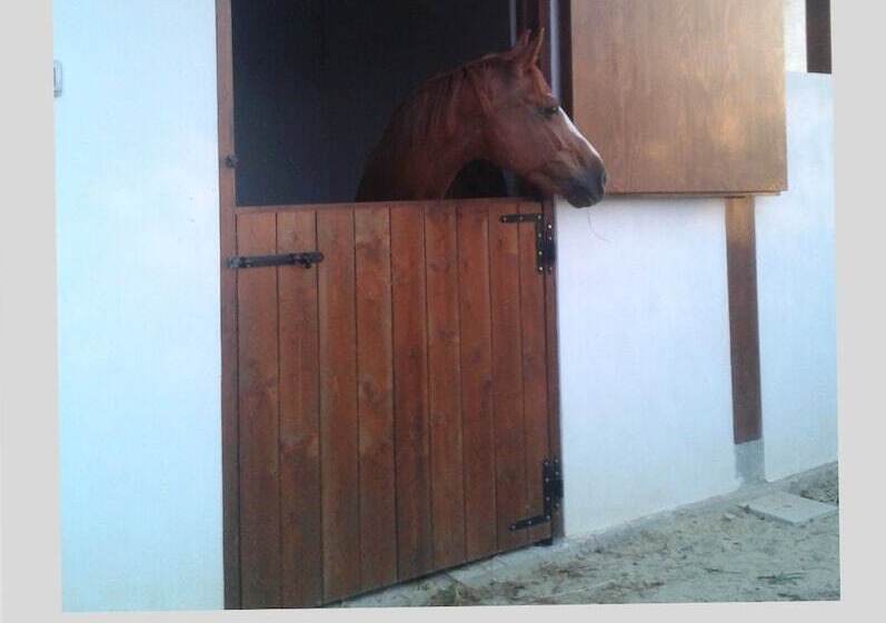 ベッドアンドブレックファースト Villa Elisa