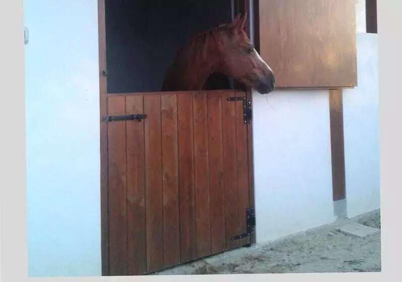 Aamiaismajoitus (B&B) Villa Elisa