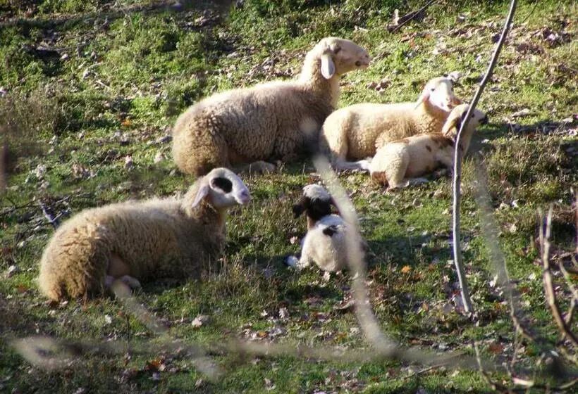 Bed & Breakfast La Gaggiaspina