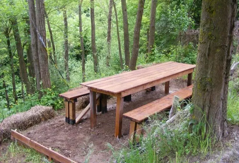 Bed & Breakfast La Gaggiaspina