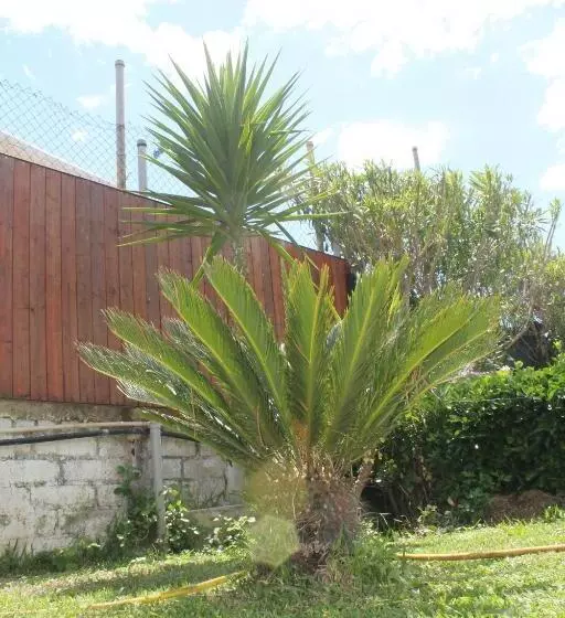 Rifa B&b