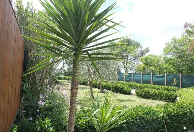 Rifa B&b