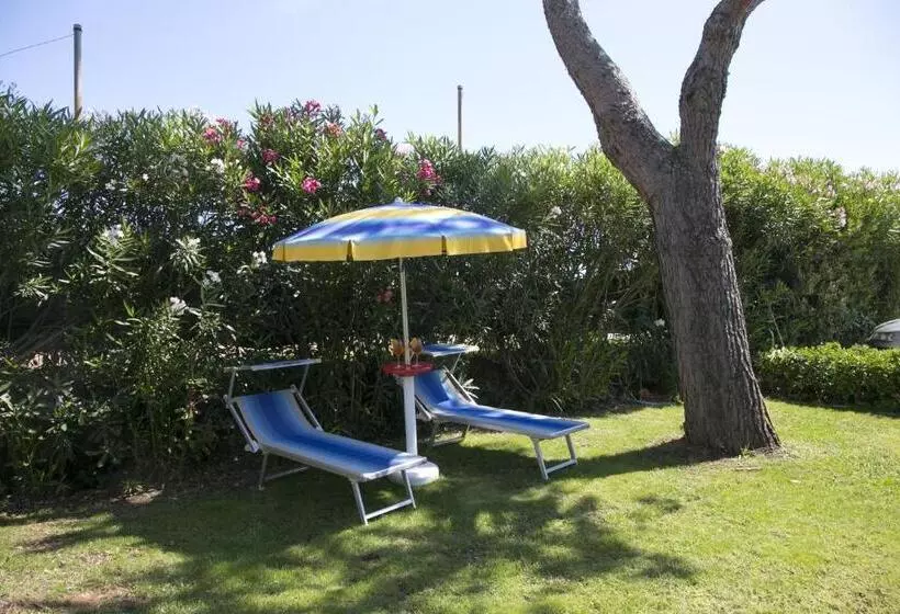 Rifa B&b